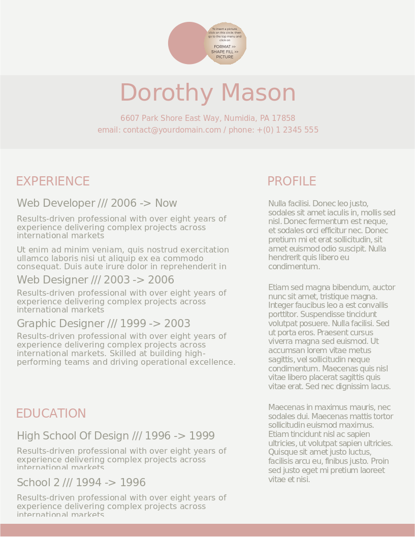 Simple In Pink CV preview